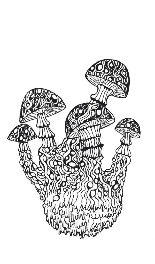 black and white drawing of mushrooms