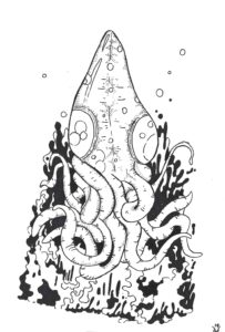 Squid pen and ink drawing